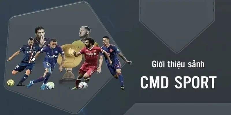 Tổng quan về sân chơi thể thao CMD368